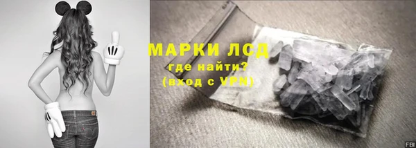 стаф Бронницы
