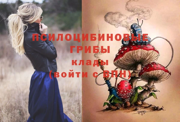 гидра Белоозёрский