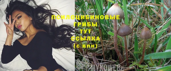 кокс Белокуриха