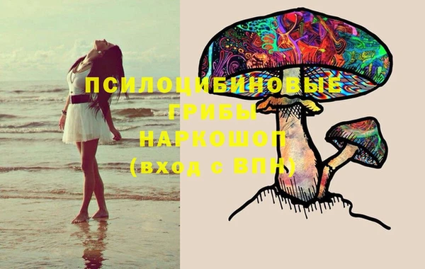 jwh Бородино