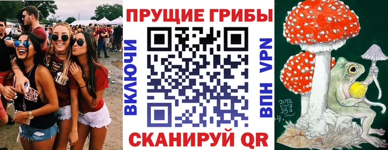 купить  цена  Беломорск  Галлюциногенные грибы Psilocybine cubensis 